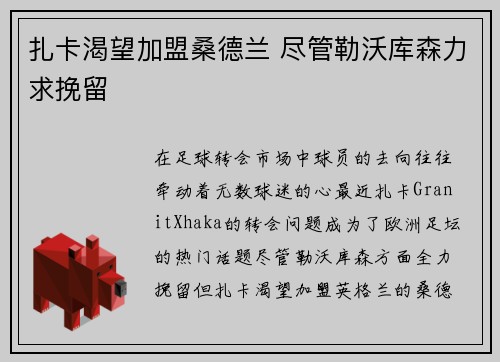 扎卡渴望加盟桑德兰 尽管勒沃库森力求挽留