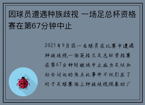 因球员遭遇种族歧视 一场足总杯资格赛在第67分钟中止